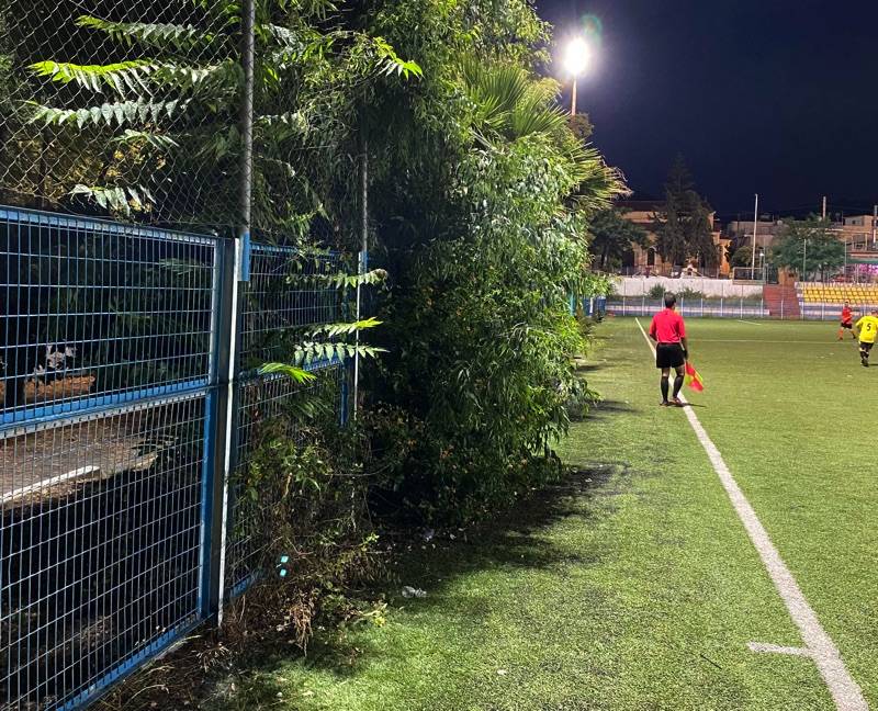 Η βλάστηση μπήκε στο γήπεδο