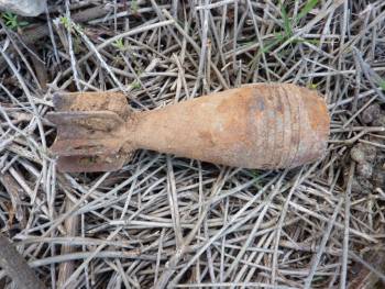 Κυνηγός βρήκε όλμο στο δάσος της Βασιλικής