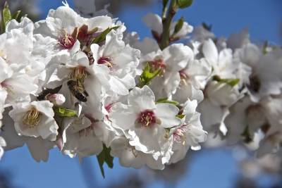 Αστρολογία – 21/02/2023