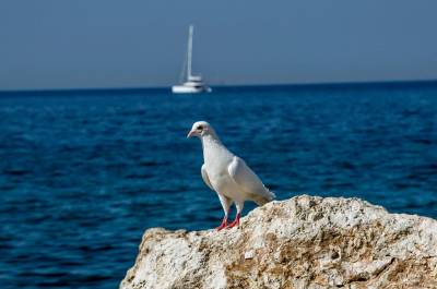 Ανεβαίνει η θερμοκρασία, πότε τα θερμόμετρα θα δείξουν έως 32 βαθμούς Κελσίου