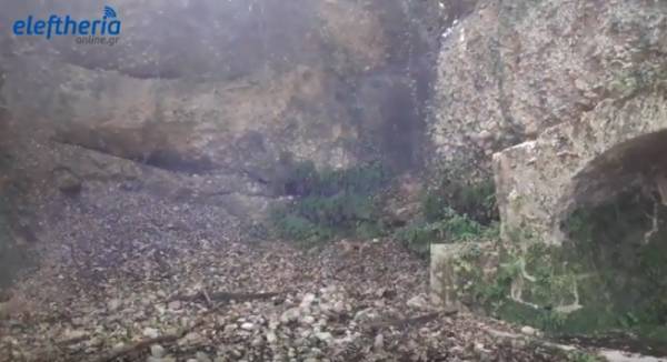 Ο &quot;Ευκλής&quot; στο δάσος της Φολόης με συντροφιά μία αλεπού! (βίντεο)