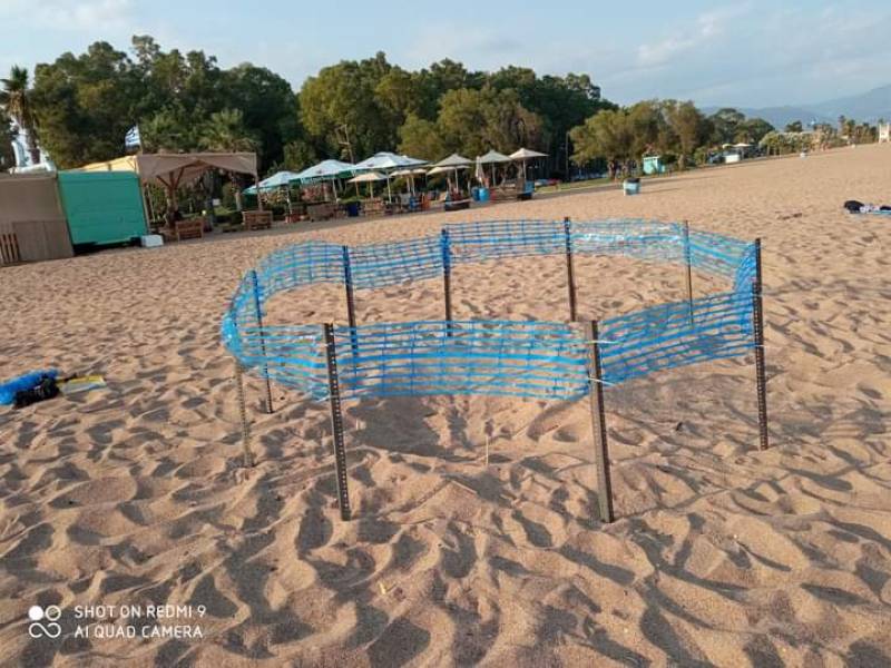 Λάσκαρης για θαλάσσιες χελώνες στη Μπούκα