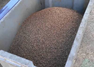 Πρόστιμο για πυρηνόξυλο στη Σπερχογεία