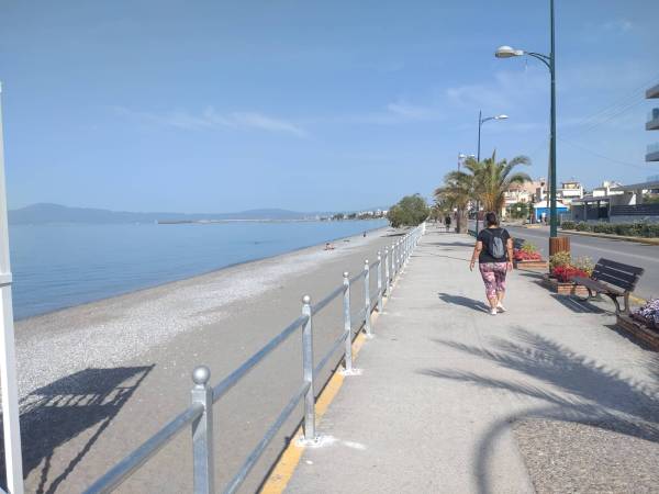 Τα κάγκελα της Ναυαρίνου