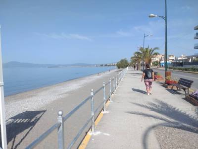 Τα κάγκελα της Ναυαρίνου