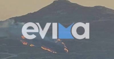 Μεγάλη φωτιά στην Κάρυστο Ευβοίας - Κινητοποίηση της Πυροσβεστικής