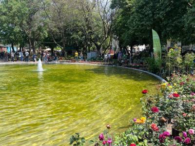 Μέχρι αύριο η 10η Ανθοκομική Καλαμάτας