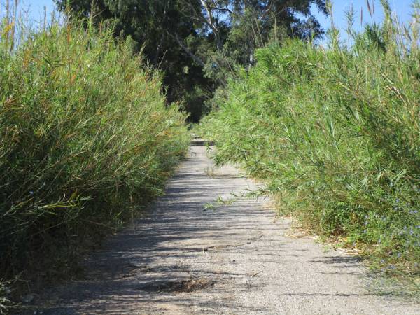 Θυμίζει ζούγκλα