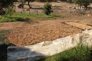 Τα χρεοκοπημένα κλειστά συστήματα πνίγουν τους αγρότες