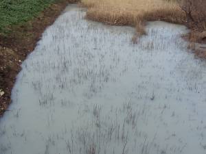 Μήνυση για τη μόλυνση του ποταμού Δεσπότη