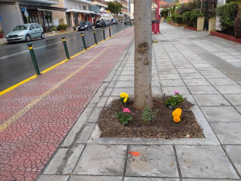 Ομορφαίνουν τη Ναυαρίνου...