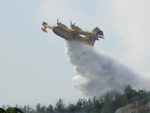 Υπό έλεγχο η φωτιά στην Αμυγδαλίτσα