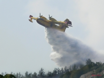 Υπό έλεγχο η φωτιά στην Αμυγδαλίτσα