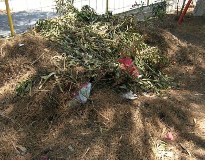 Με πρόστιμο για τα κλαδιά απειλούν οι Δήμοι Καλαμάτας και Τριφυλίας