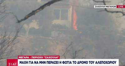 Φωτιά στα Μέγαρα: Οι φλόγες άρχισαν να τυλίγουν τα πρώτα σπίτια (Βίντεο)