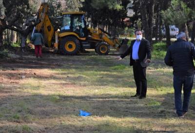 Καλαμάτα: Υπαίθριο Πάρκο Ελιάς δημιουργείται στο Νέδοντα