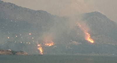 Μέτρα για πυρόπληκτους της Ανατολικής Μάνης ζητεί το ΚΚΕ 