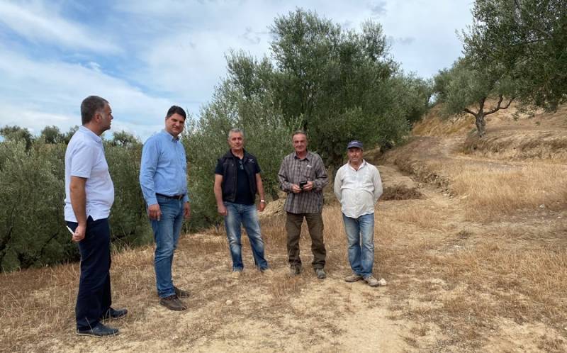 Μεγάλες οι ζημιές από τον καύσωνα στην ελαιοπαραγωγή του Δήμου Μεσσήνης