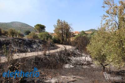 Δημοτικό Συμβούλιο Μεσσήνης: Συζήτηση για τα αίτια και η αντιμετώπιση της φωτιάς στα Πετράλωνα