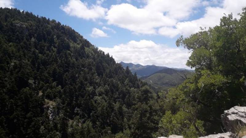 Ταΰγετος: Εγκατάσταση πυρασφάλειας στη Μαραθόλακκα