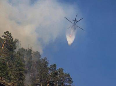 Τσεχία: Περίπου 900 πυροσβέστες στη μάχη με τις φλόγες στα σύνορα με τη Γερμανία