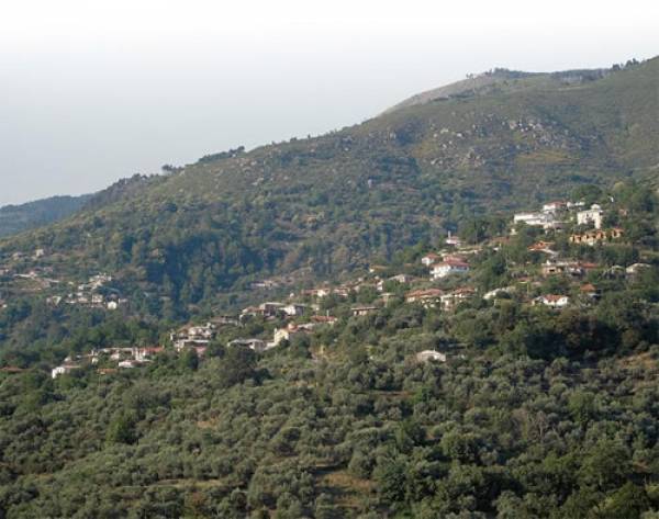 Μειοδότης για λιθόστρωτο στο Μαχαλά της Αλαγονίας