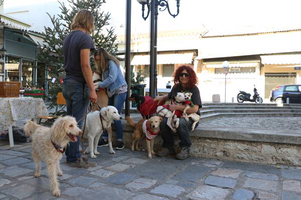 Μπαζάρ για αδέσποτα ζώα στην Αμφείας (βίντεο - φωτογραφίες)