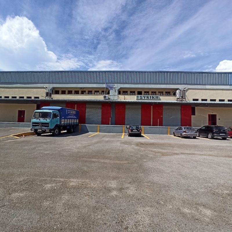 ΣΥΚΙΚΗ: Μικρή αύξηση στην τιμή των σύκων (βίντεο)