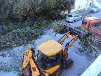 «Απελευθερώθηκε» από τα κλαδιά ο δρόμος (φωτογραφίες)