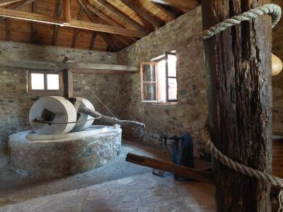 Δράση για την ελιά στο παραδοσιακό Ελαιοτριβείο Χαρακοπιού