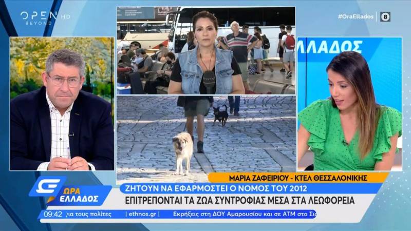 Επιτρέπονται τα ζώα συντροφιάς μέσα στα λεωφορεία - Ζητούν να εφαρμοστεί ο νόμος του 2012 (βίντεο)