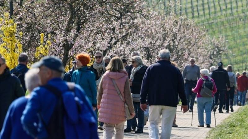 Πρώτη η AfD σε δημοσκόπηση στη Γερμανία - Δυσαρέσκεια των πολιτών από τα μέτρα για τις υψηλές τιμές στην ενέργεια