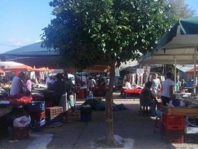 Κανονισμός κοινόχρηστων χώρων Δήμου Τριφυλίας