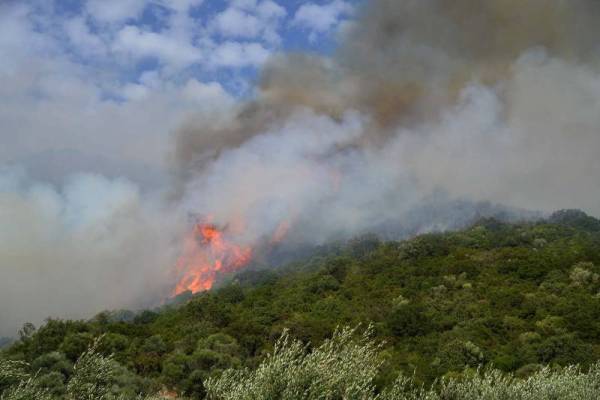 Πολύ υψηλός κίνδυνος πυρκαγιάς στη Μεσσηνία
