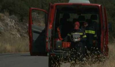 Eνας 55χρονος πυροσβέστης έχασε τη ζωή του στη φωτιά στο Ωραιόκαστρο