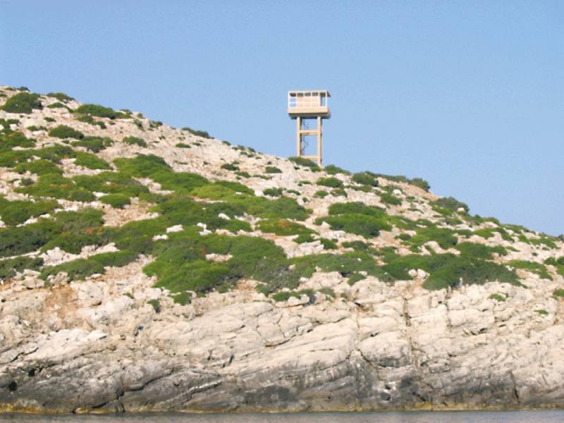 Καφαντάρης κατά πεδίου βολής στη Σχίζα