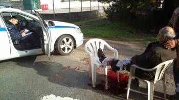 Aγρια σκυλιά θα κατασπάραζαν ηλικιωμένο στη Θεσσαλονίκη (Προσοχή, σκληρές εικόνες)