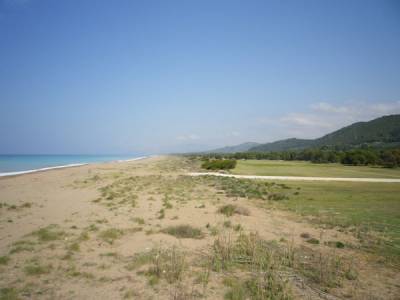 Οι Οικολόγοι στηρίζουν Τσιρώνη για Κυπαρισσιακό 