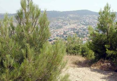 Η βολική σιωπή για τους δασικούς χάρτες