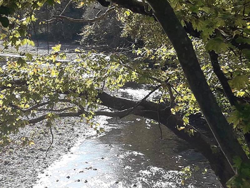 Ψήφισμα κατά του περιβαλλοντικού νομοσχεδίου από το Περιφερειακό Συμβούλιο Πελοποννήσου
