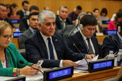 Σε φόρουμ του ΟΗΕ στη Νέα Υόρκη συμμετείχε ο Καφαντάρης