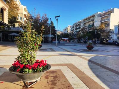 Καλαμάτα: Φυτεύτηκαν αλεξανδρινά και κυκλάμινα ενόψει Χριστουγέννων