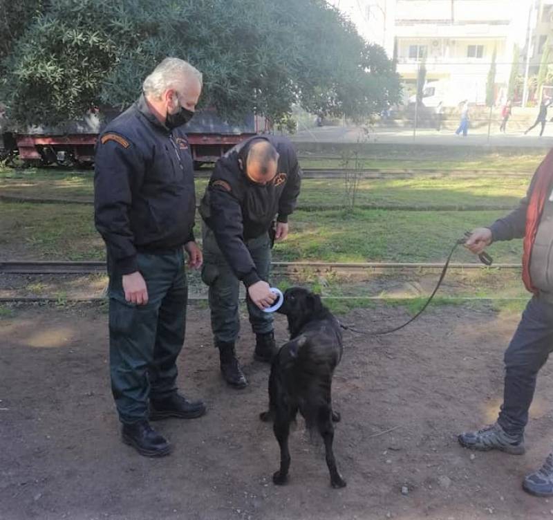 Ελεγχος ζώων από Δημοτική Αστυνομία