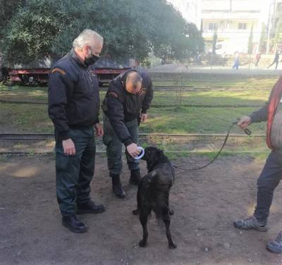 Ελεγχος ζώων από Δημοτική Αστυνομία