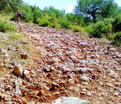 Επιδιόρθωση αγροτικών δρόμων στη Μεσσήνη ζητεί ο Αναστασόπουλος