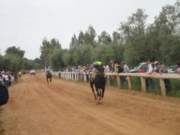 Ιπποδρομίες στο Πλατύ τη Δευτέρα του Πάσχα