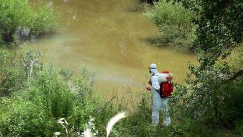 Σύμβαση για κουνουποκτονία των δύο επόμενων ετών στη Μεσσηνία (βίντεο)
