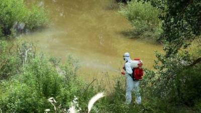 Σύμβαση για κουνουποκτονία των δύο επόμενων ετών στη Μεσσηνία (βίντεο)