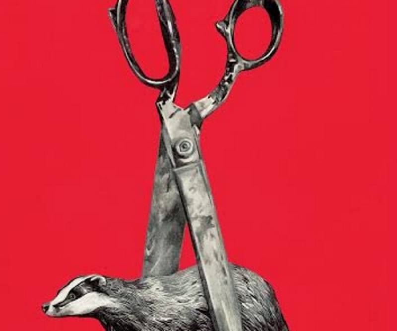 Βασίλης Βασιλικός: Ο ασβός ή Οι περιπέτειες μιας δύσκολης ανάρρωσης Ι εκδόσεις Διάπλαση