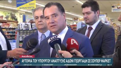 Άδ. Γεωργιάδης: Το καλάθι του νοικοκυριού κερδίζει την εμπιστοσύνη των καταναλωτή (βίντεο)